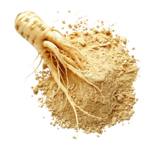 Natuurlijke ingrediënten in Perforan zoals L-Arginine, Maca, Ginseng, Zink en Vitamine B